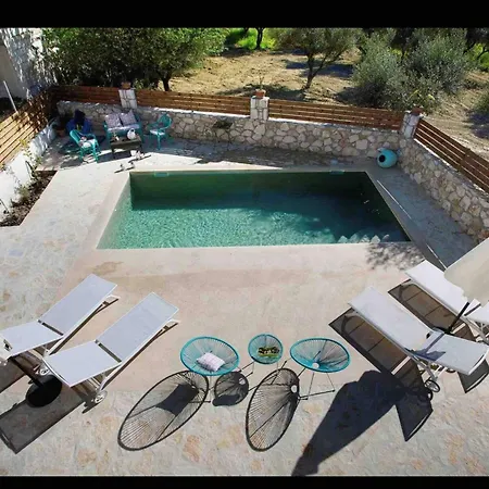 Zante Amici *